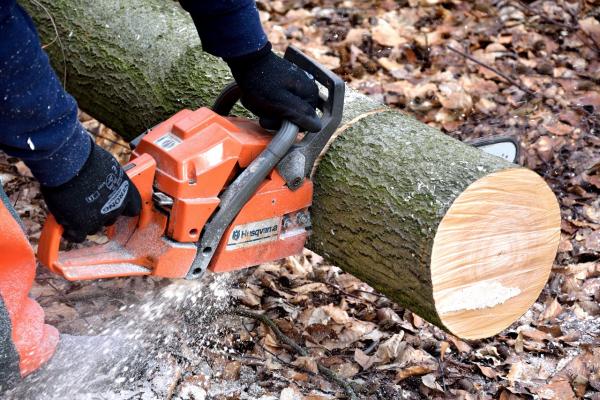find the best chainsaws for all your project needs with bestofpower tool