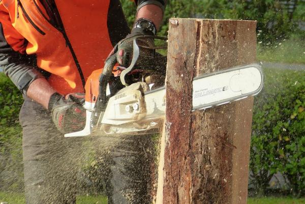 find the best chainsaws for all your project needs with bestofpower tool