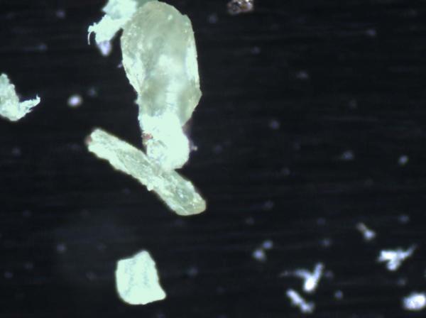 get the best imaging spectrometer for microplastic amp small object identificati