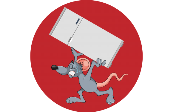 get the best leesburg junk removal and hauling services for home or business