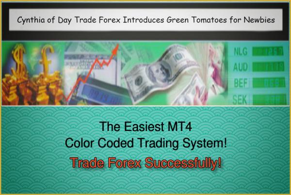 learn how to trade foreign currencies created just for newbies