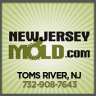 manahawkin crawl space mold removal service with moldexterm system eliminates mo