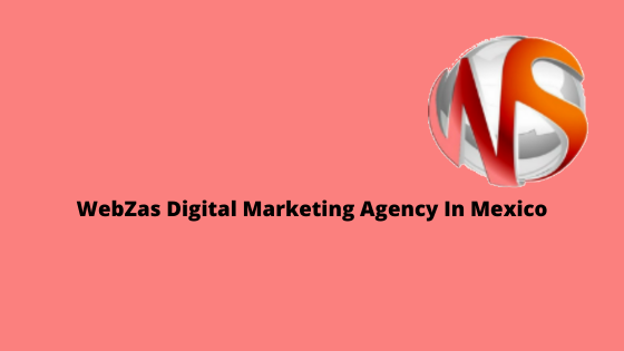 webzas is the digital marketing agency now leading customer service in mexico