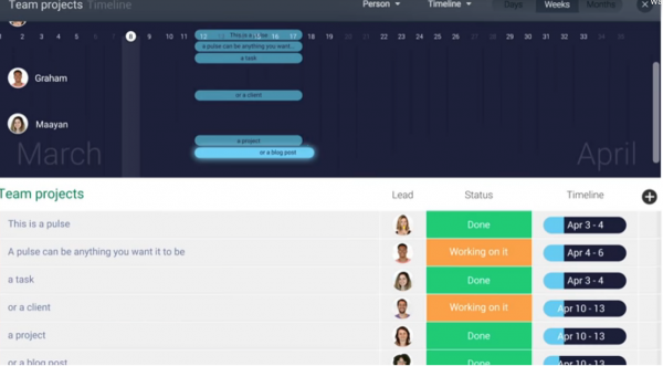 what project management software should you use kyber digital marketing reveals
