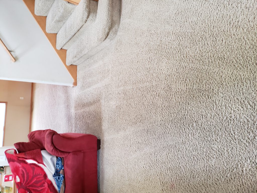 Get The Best Carpet Cleaning Services For Homes And Businesses In St