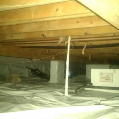 get the best clearwater fl mold remediation prevention and repair solutions