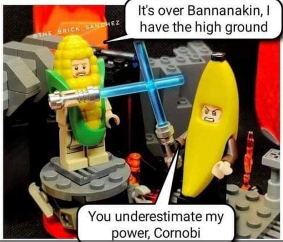 LEGO Memes For Kids