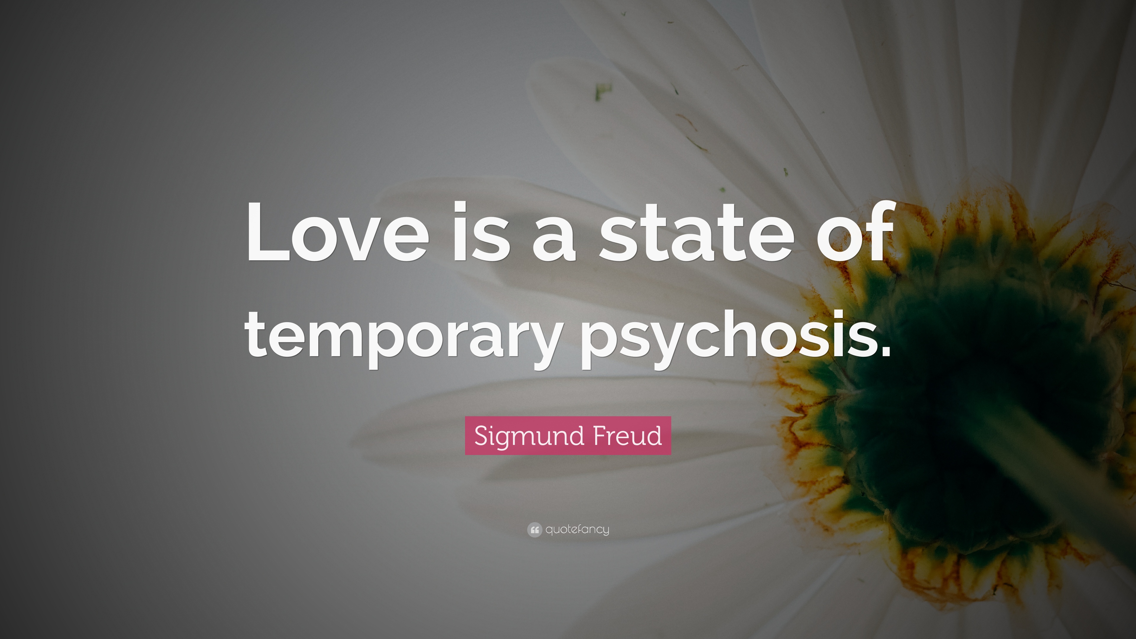 sigmund freud love quotes