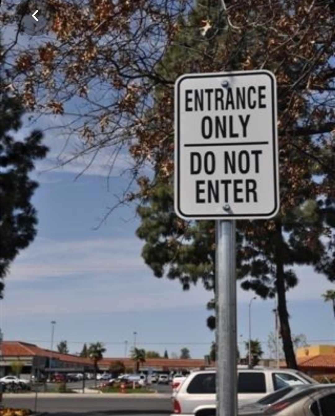 funny grammar mistakes signs