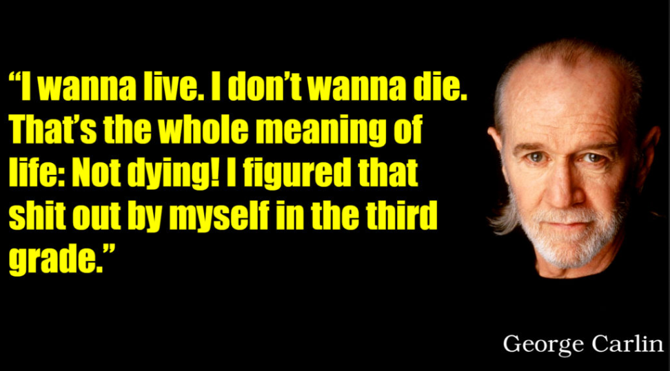 george carlin quotes