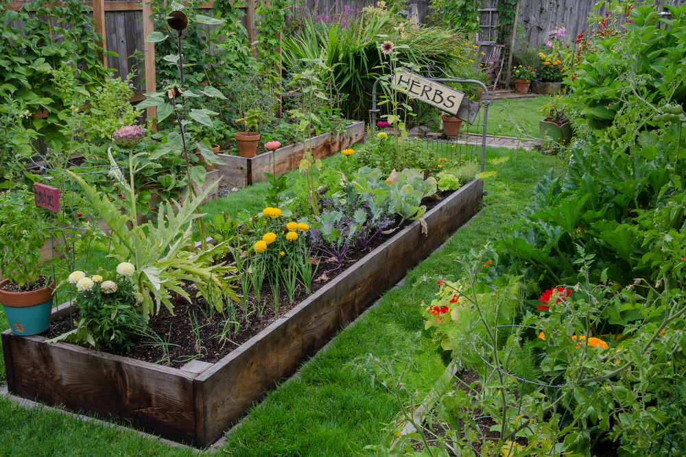 Get The Best Diy Home Herb Garden Ideas, Herb Garden Tips And Tricks