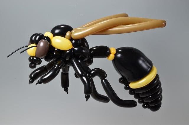 twisted balloon art creations