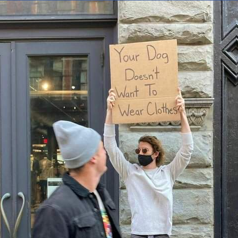 funny protest signs