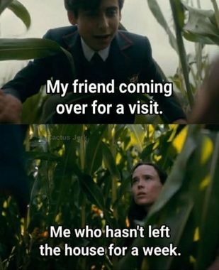 memes about plants
