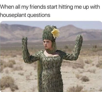 memes about plants