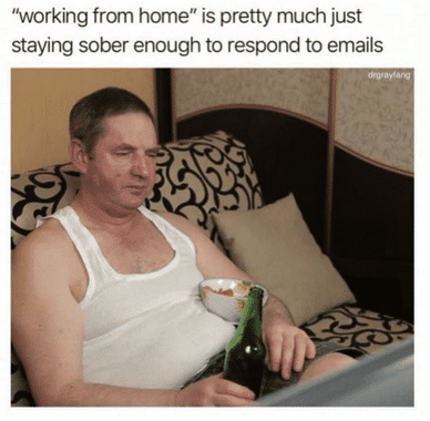 Working From Home Memes