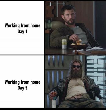 Working From Home Memes