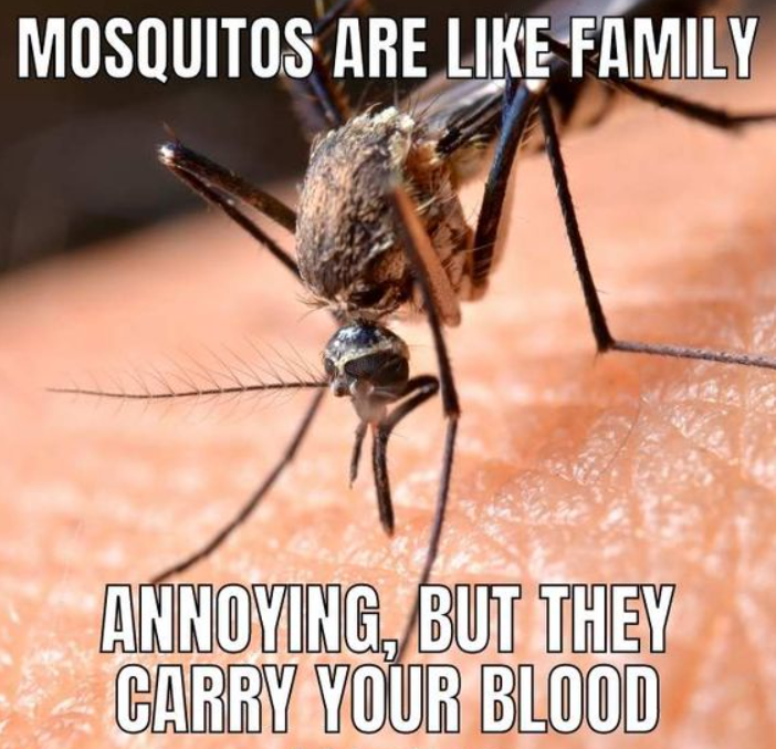 Funny jokes in Alaska memes - mosquito