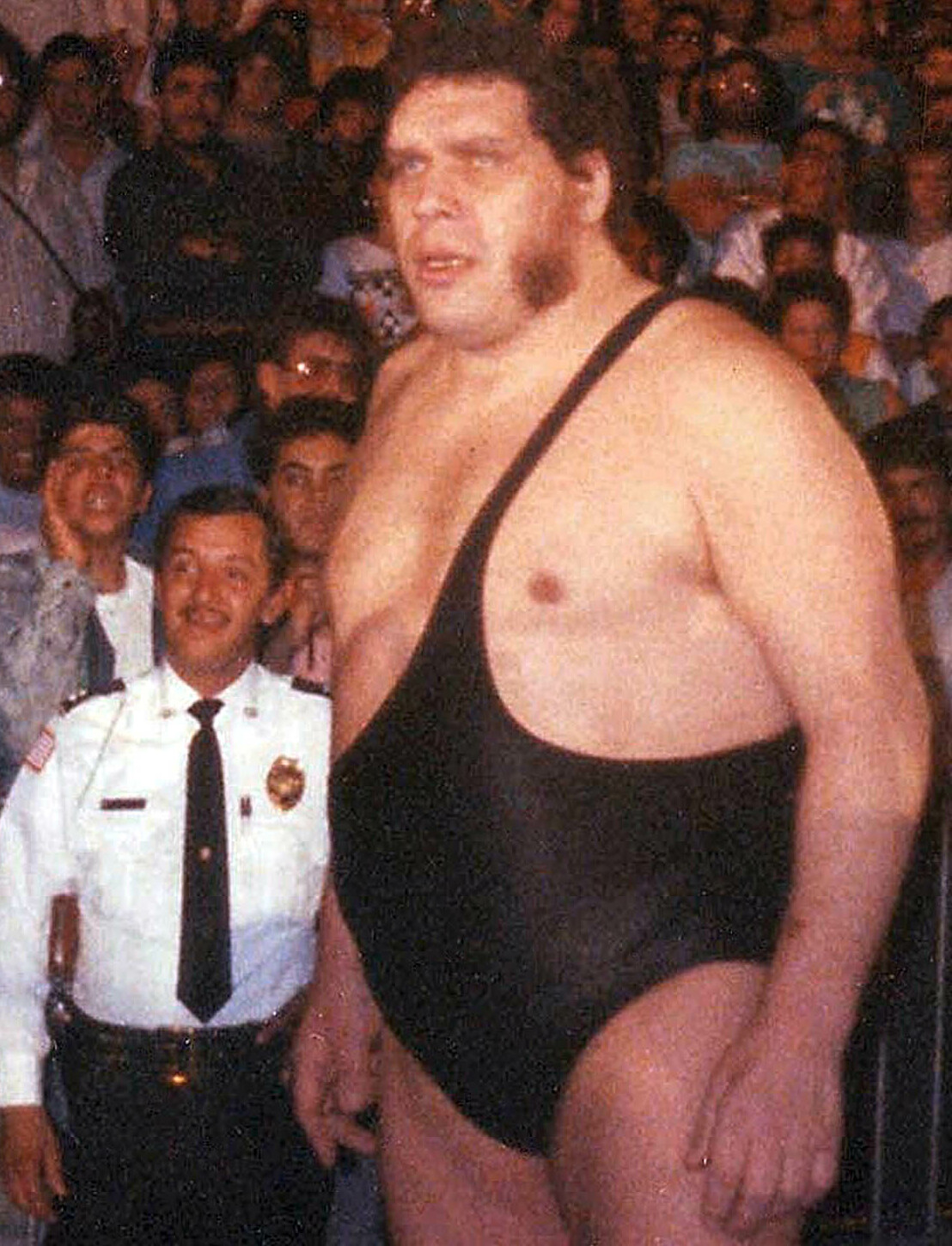 Andre the Giant - Daily Moss article