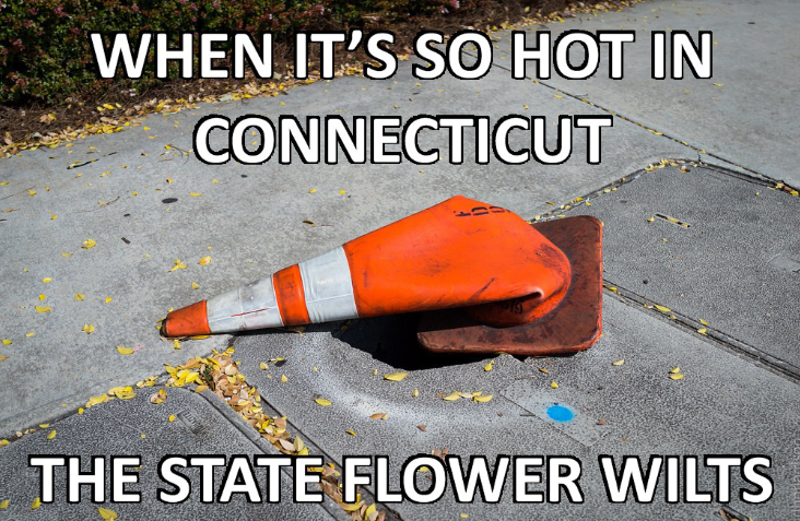 comical Connecticut memes