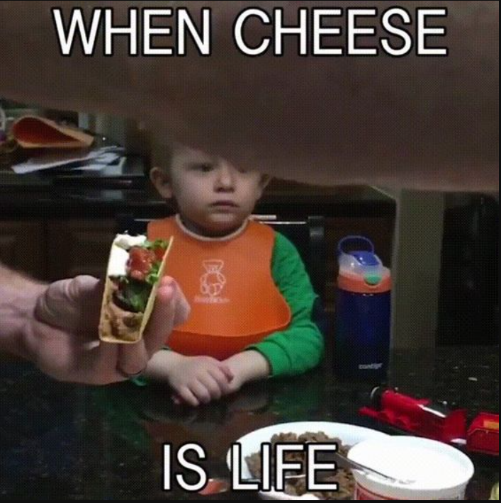 funny jokes about cheese in Arkansas memes