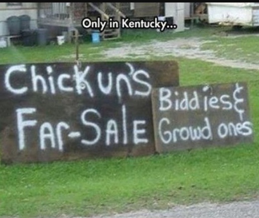 funny jokes in kentucky memes