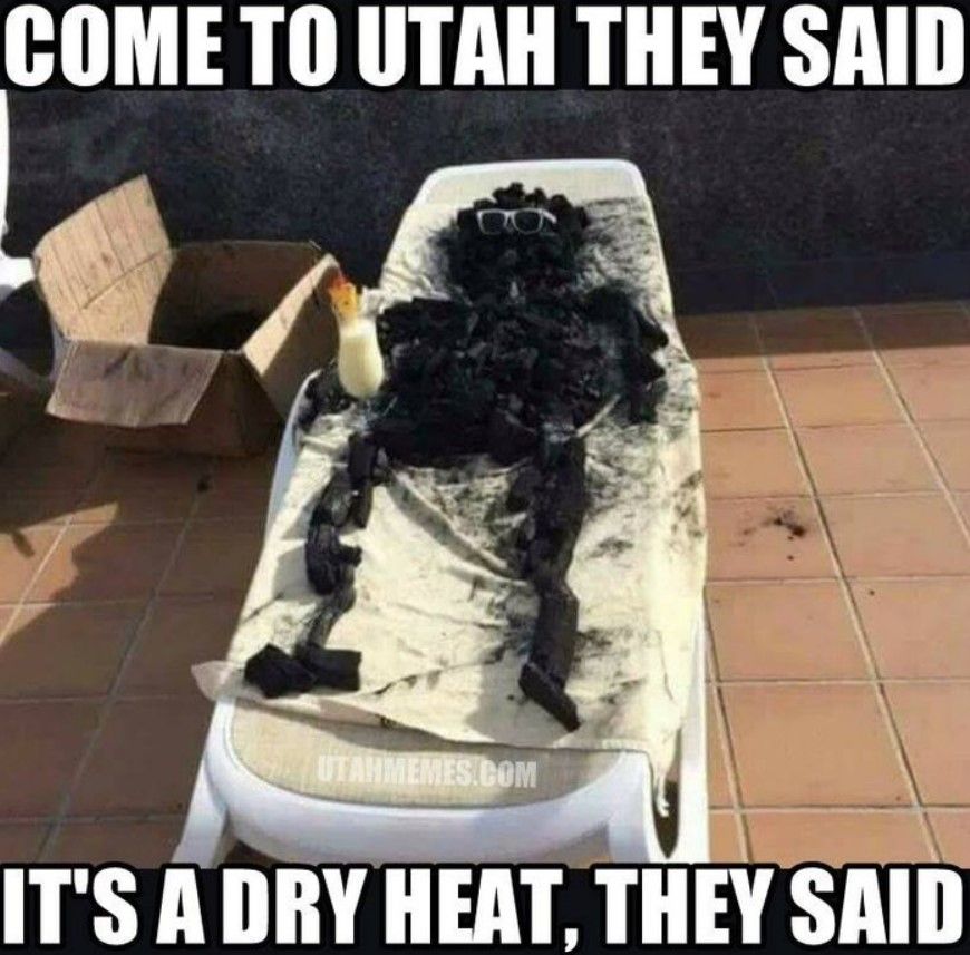 funny jokes - Utah Memes That Nail The Beehive State's Unique Charm