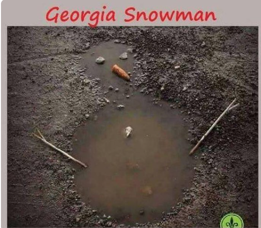 funny jokes in georgia memes