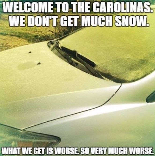 funny jokes in South Carolina memes