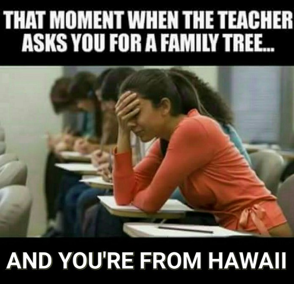 funny jokes in Hawaii memes - island living