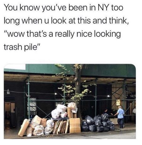 funny jokes - new york memes