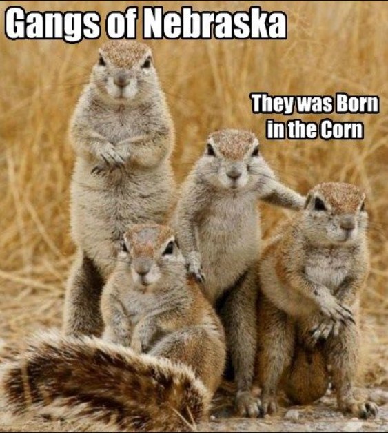 funny jokes - Nebraska memes