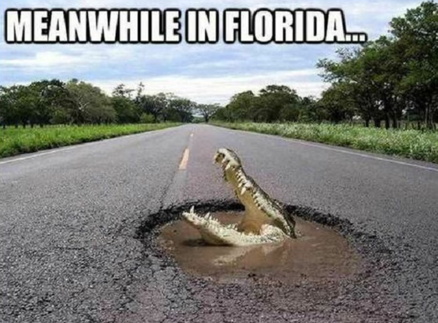 funny florida memes