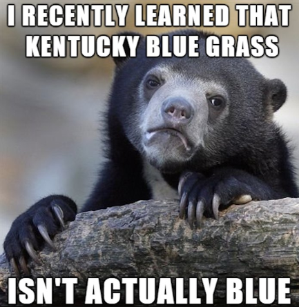 funny jokes in kentucky memes