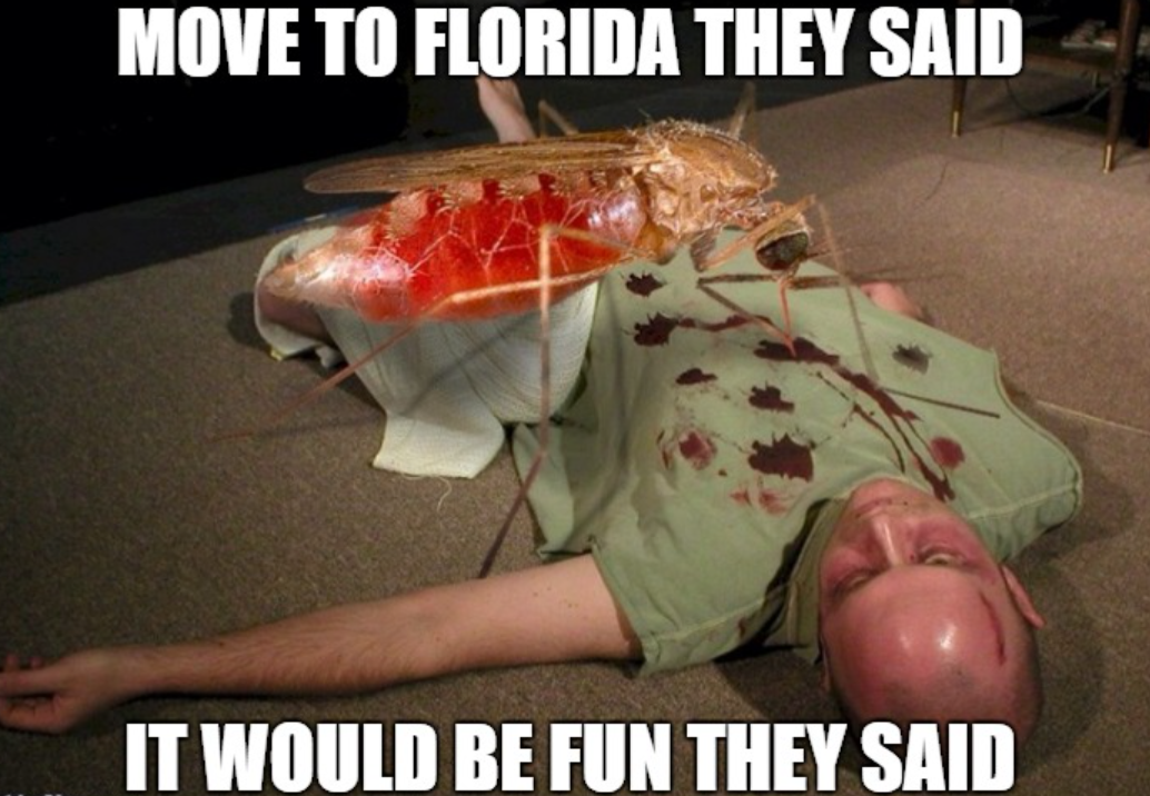 funny florida memes