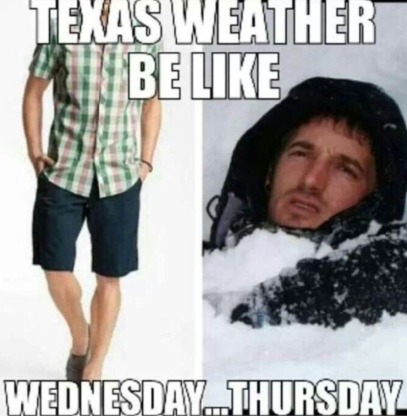 funny jokes- texas memes