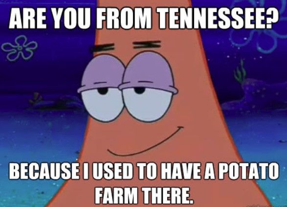 funny jokes- Tennessee Memes That Hilariously Capture Volunteer State Humor