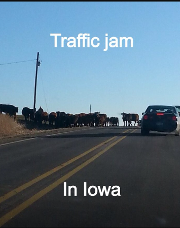 Iowa jokes in funny memes