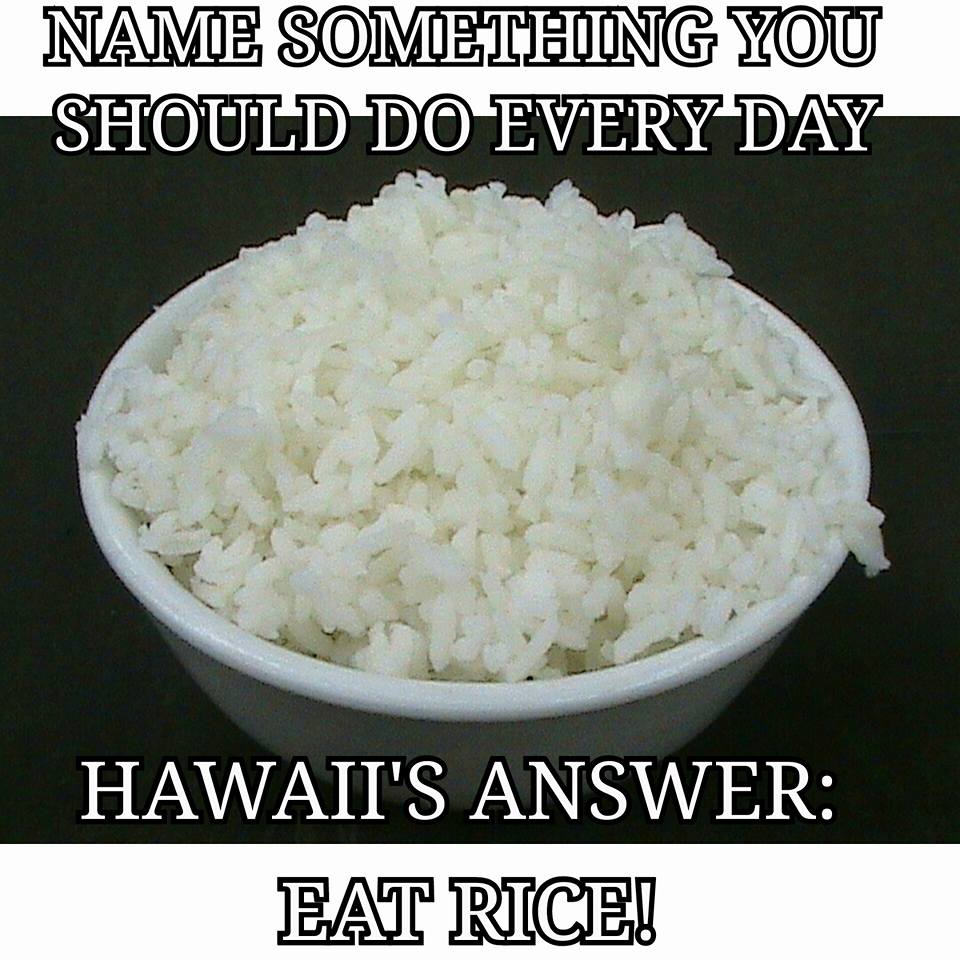 funny jokes in Hawaii memes - island living