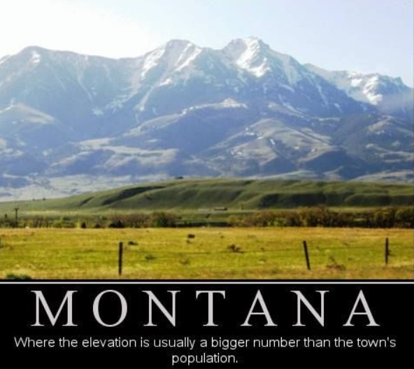 funny jokes Montana memes