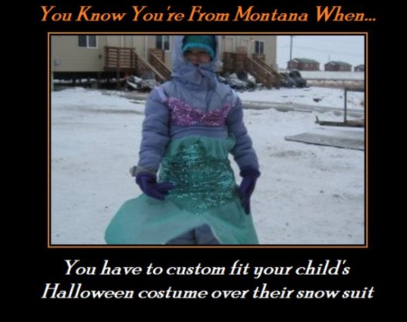 funny jokes Montana memes