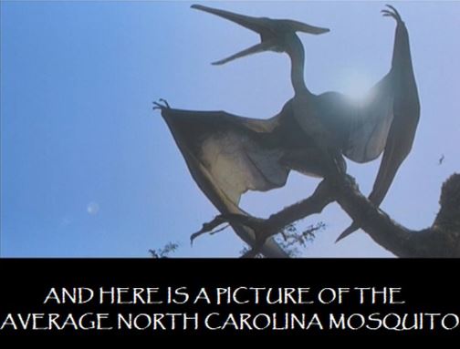 funny jokes - north carolina memes