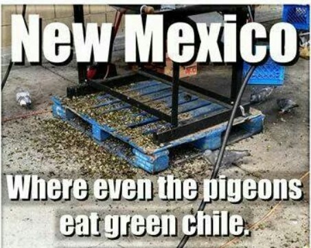 funny jokes - new mexico memes