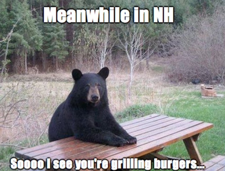 funny jokes- new hampshire memes