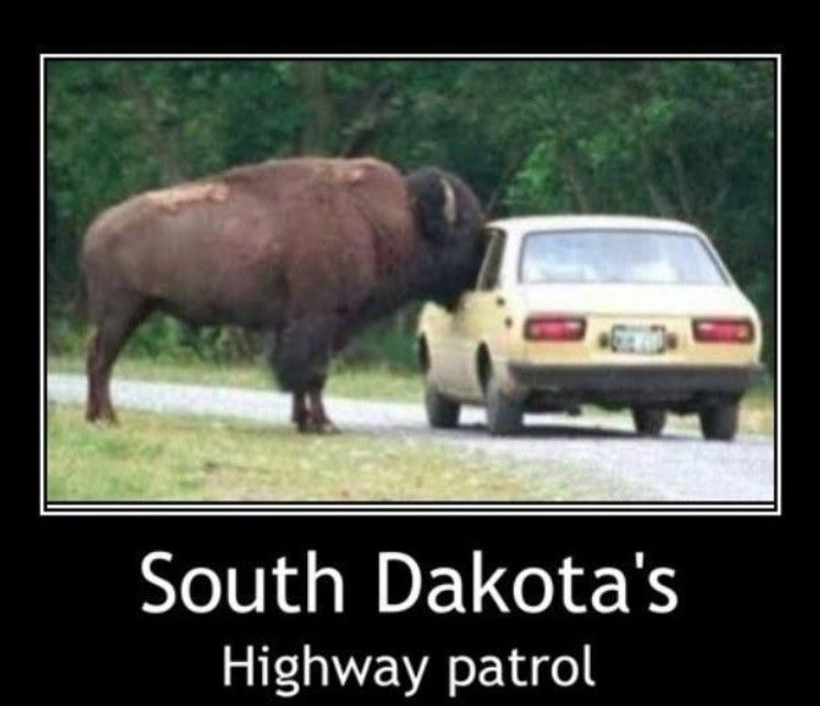 funny jokes in South Dakota memes
