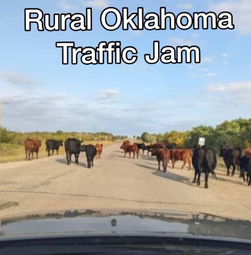 funny joke -oklahoma memes