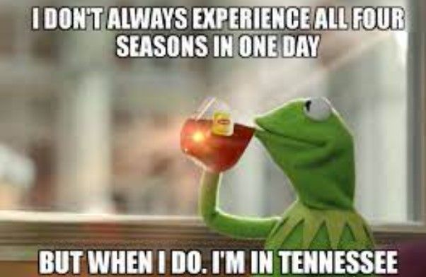 funny jokes- Tennessee Memes That Hilariously Capture Volunteer State Humor