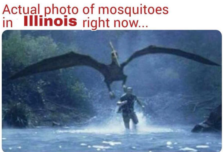 funny jokes in illinois memes