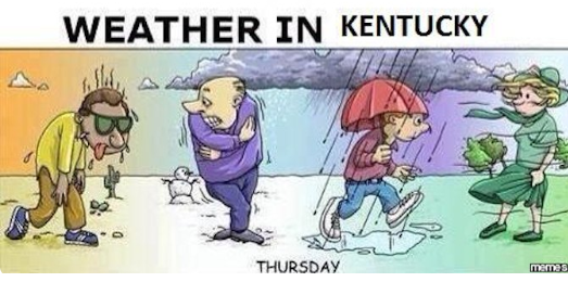 funny jokes in kentucky memes