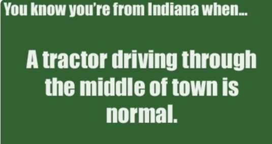 funny indiana memes